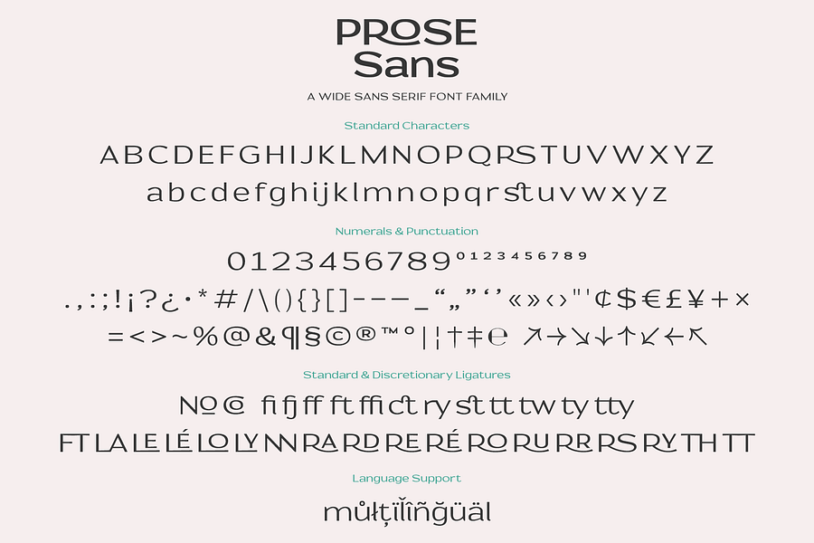 Prose Sans | A Wide Sans Serif Font Family product image (8)