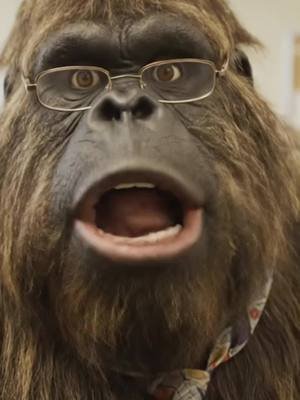 Bigfoot (Mr. Squatch) tries coffee from the teacher’s lounge. I made this for all the teachers and coffee lovers out there. #bigfootteachervlog #coffee #bigfoot #bigfootvlog