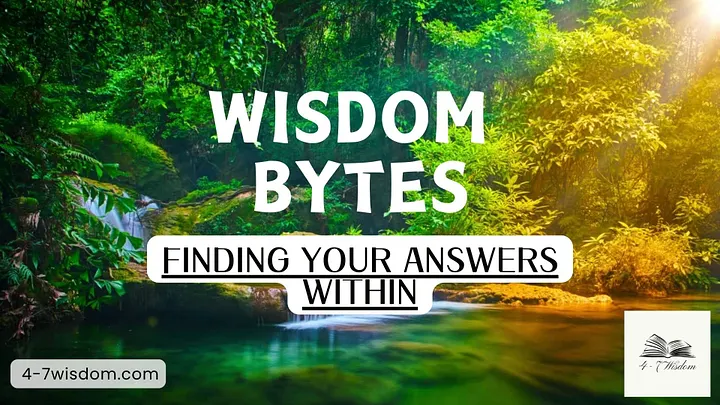 Wisdom Bytes: Finding your answers within product image (1)