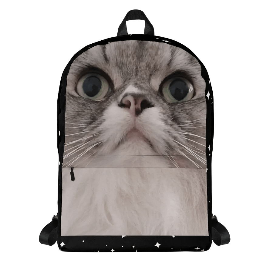 Duman Backpack product image (3)