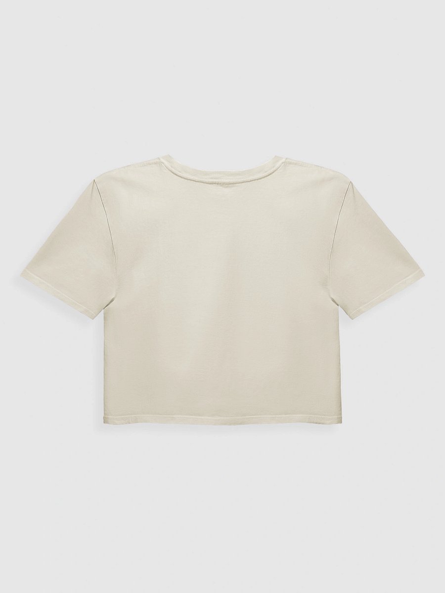 Higher Self, Higher Standards Crop Tee product image (2)