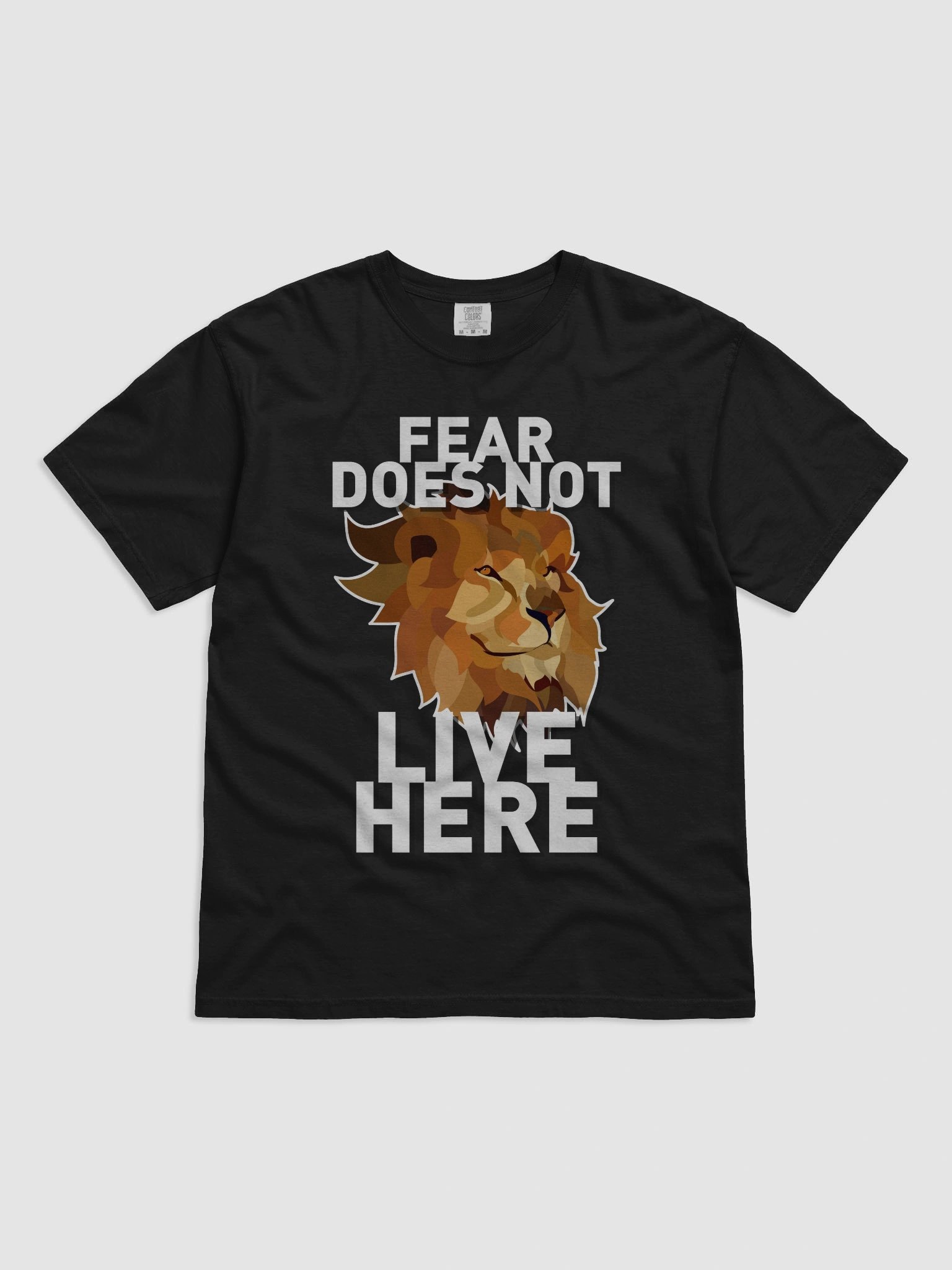 FEAR DOES NOT LIVE HERE product image (6)