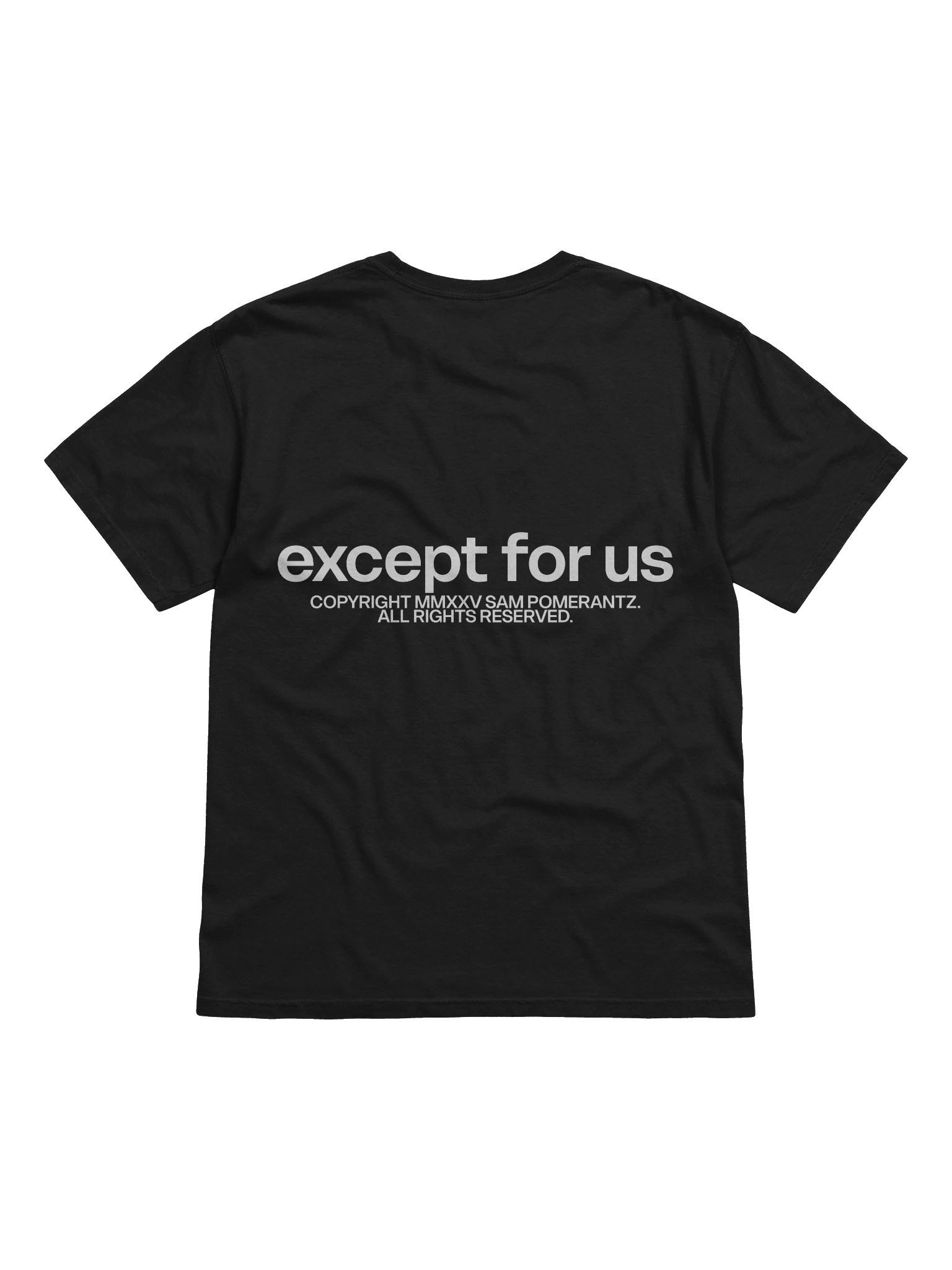 Except For Us Threshold Tee product image (2)