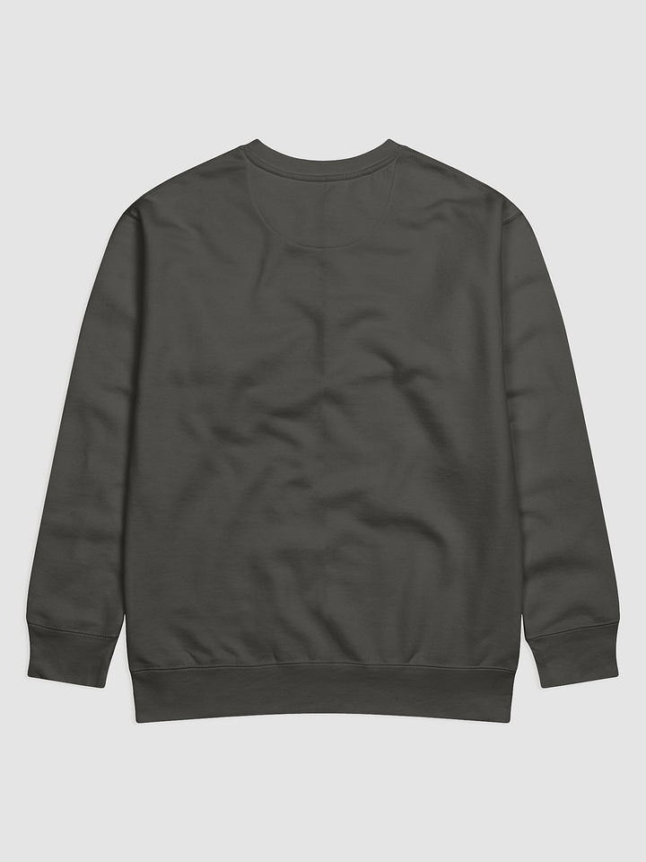 GNOSIS Project Limited Edition Sweatshirt 2025 product image (2)