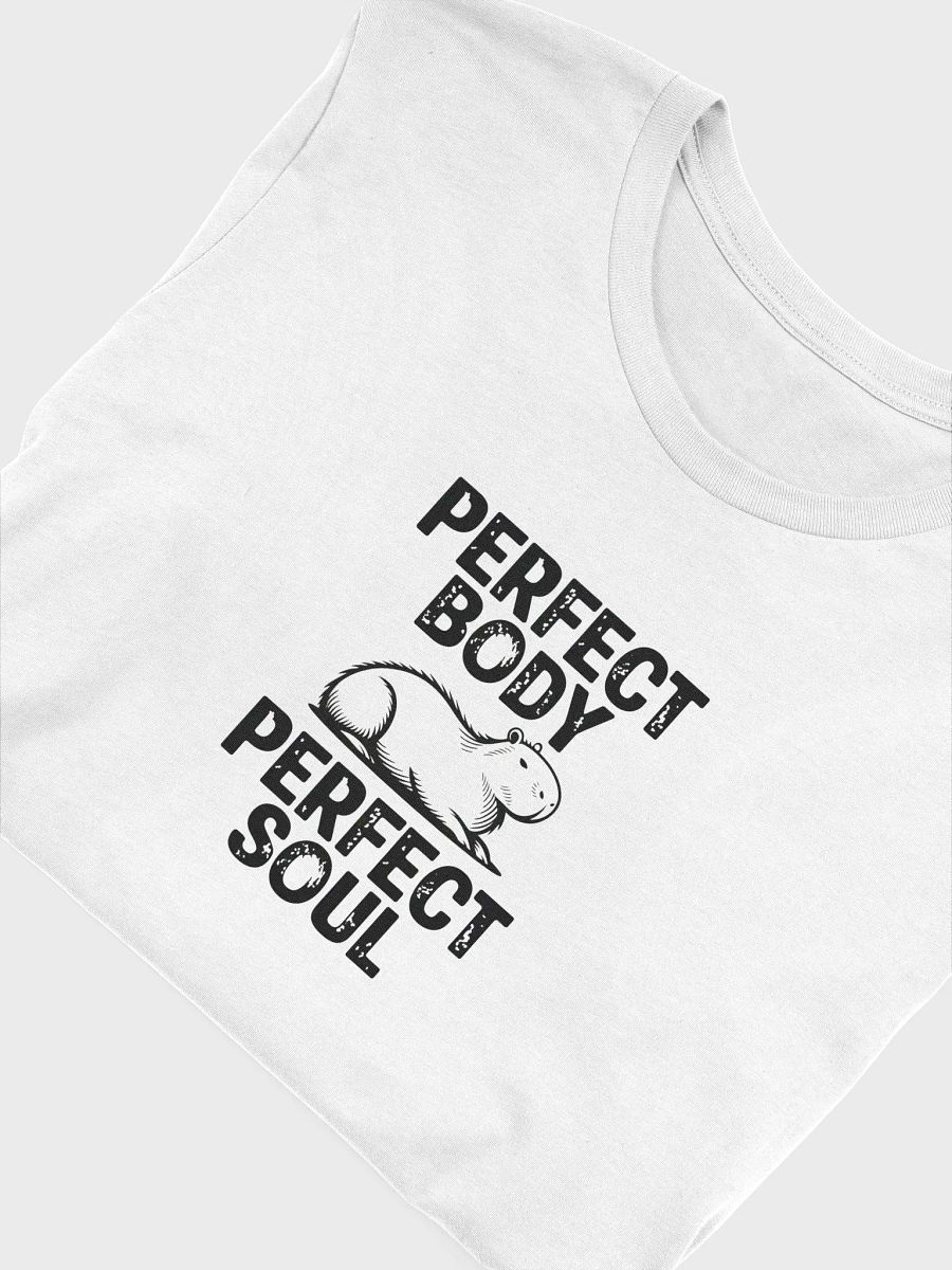 Perfect Body, Perfect Soul T-Shirt product image (56)