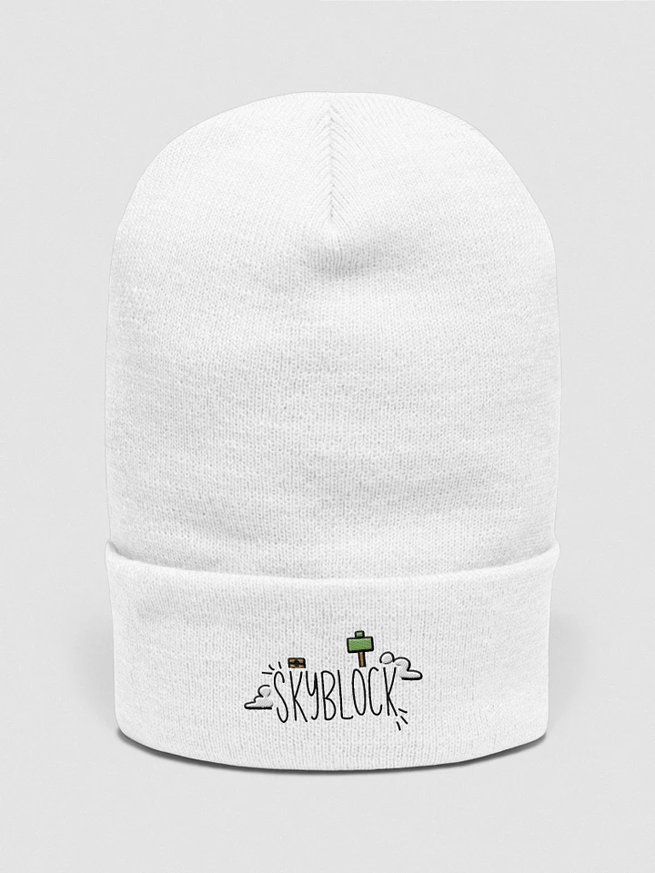 Skyblock Beanie product image (1)