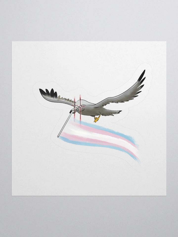 Valentina says trans rights product image (2)