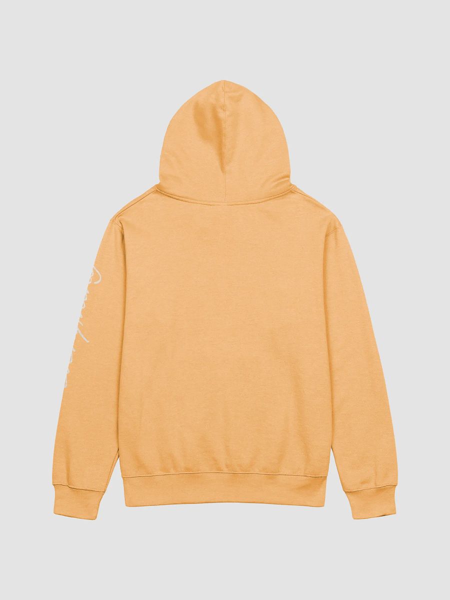 Classic R828 Block Hoodie product image (37)