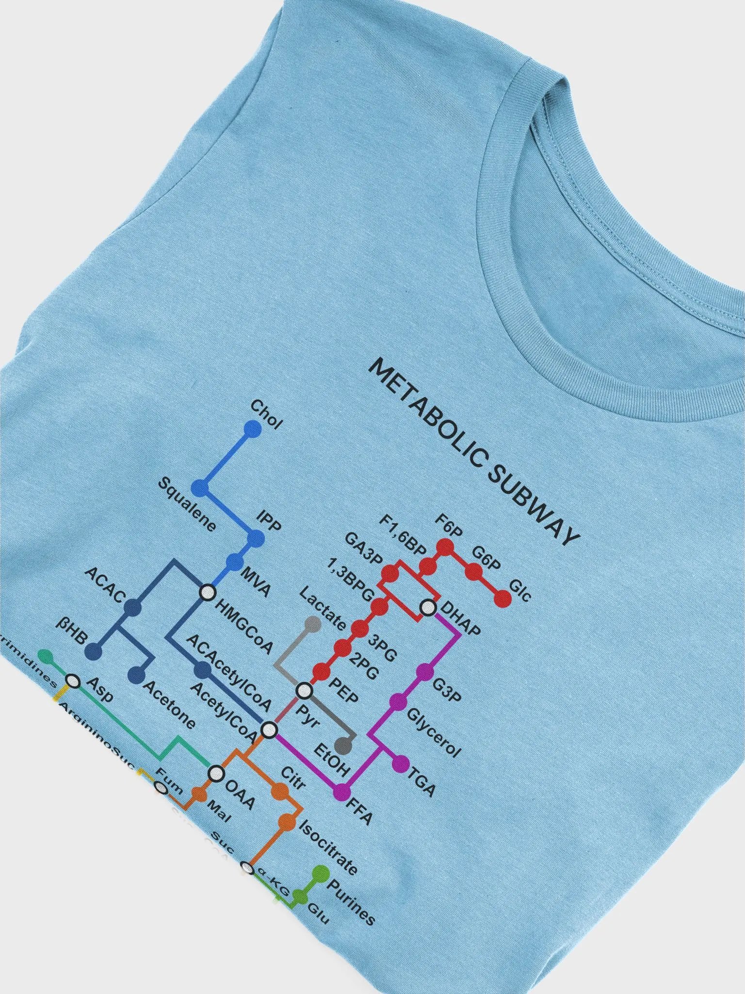 "Metabolic subway" t-shirt (light background) product image (3)