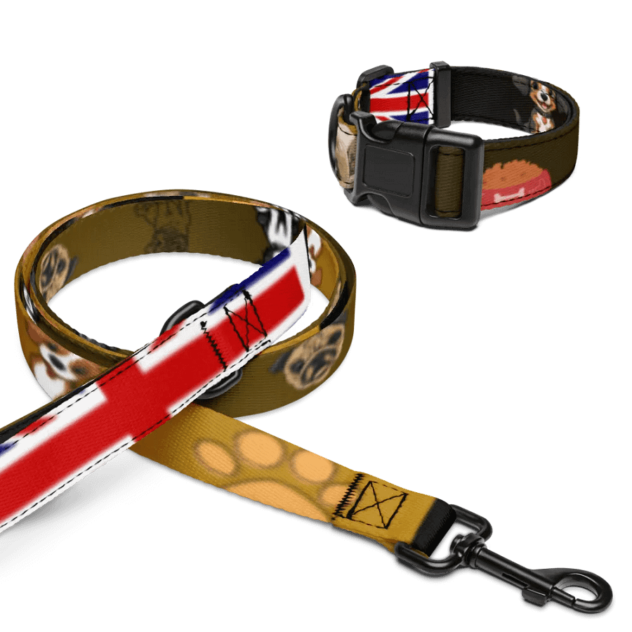 Distorted Dreams Pet Collar & Leash Set product image (10)