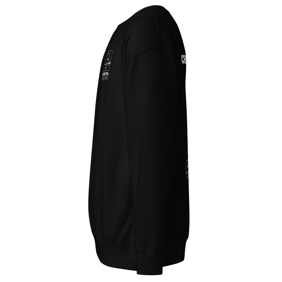 Central USA Square Logo Sweatshirt - Dark Colours product image (8)