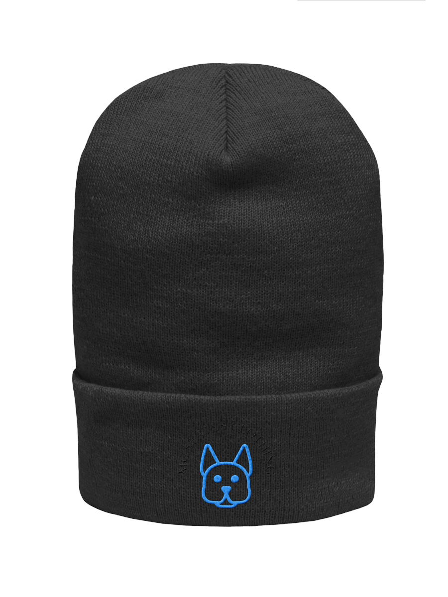 Embroidered beanie product image (1)