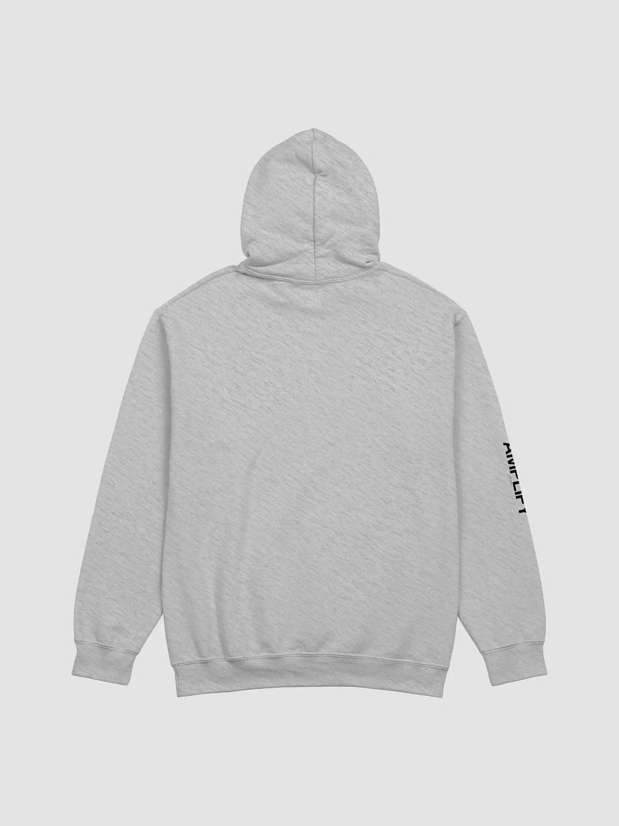 Amp Classics Hoodie (Gray) product image (3)