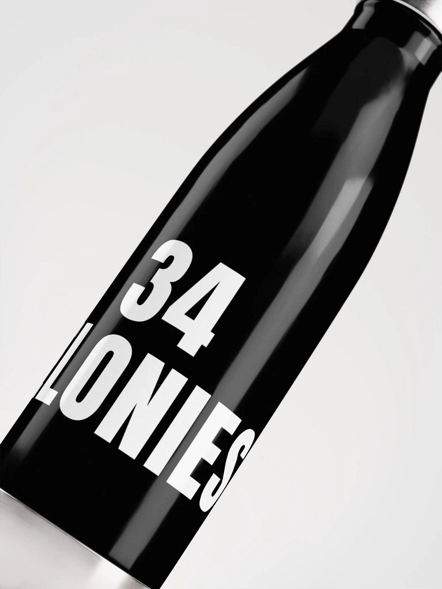 Pris-34 FELONIES -Stainless Steel Water Bottle product image (5)