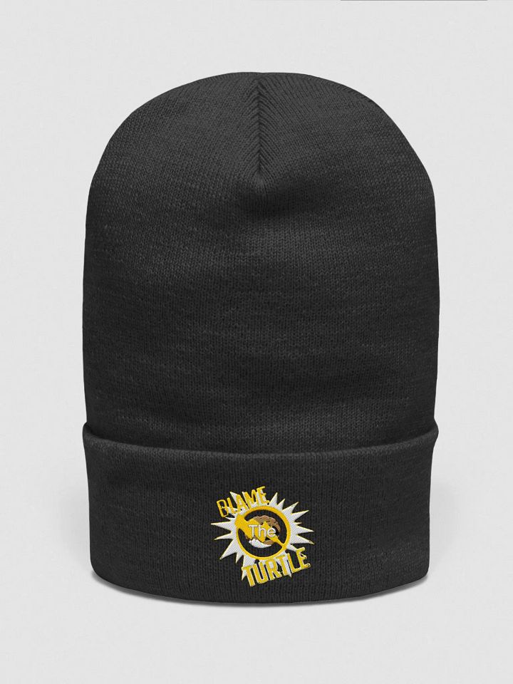 Blame The Turtle! Beanie product image (1)
