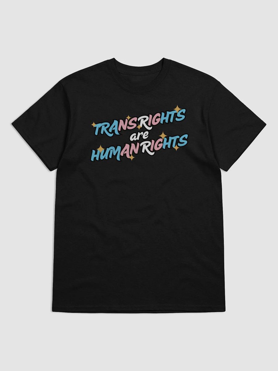 TRANS RIGHTS ARE HUMAN RIGHTS! Tee product image (7)