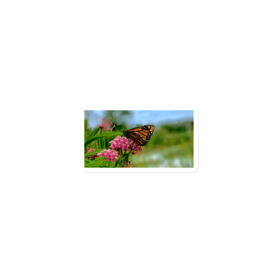 Nature Monarch Butterfly Die-Cut Magnet product image (1)