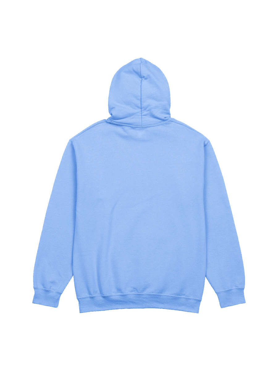 Wish Controller Hoodie product image (3)