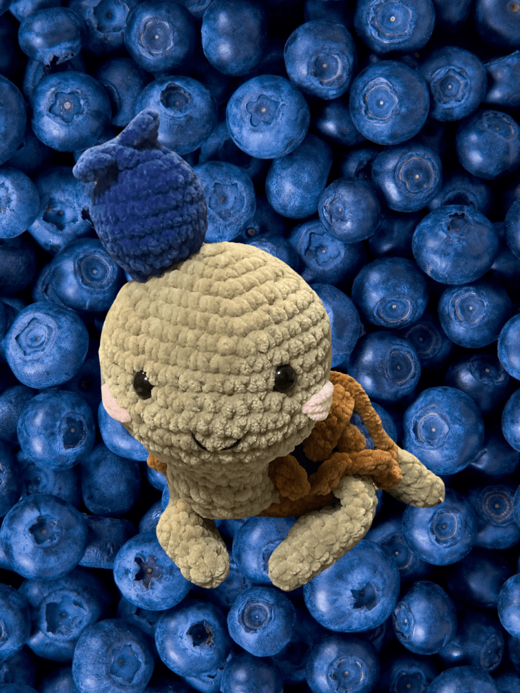 Blueberry Pie Turtle product image (1)