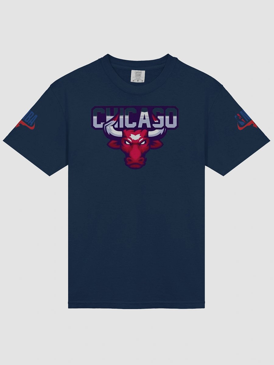 Garment-Dyed Heavyweight Man T-Shirt Chicago Logo product image (3)