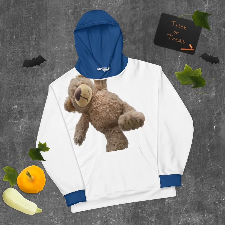 Bear hoodie product image (9)