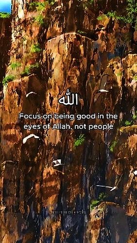 follow for more islamic reminders❤
Help me get to 10,000 followers inshaAllah😊

#islamic #islam #allah #muslim #islamicquotes...