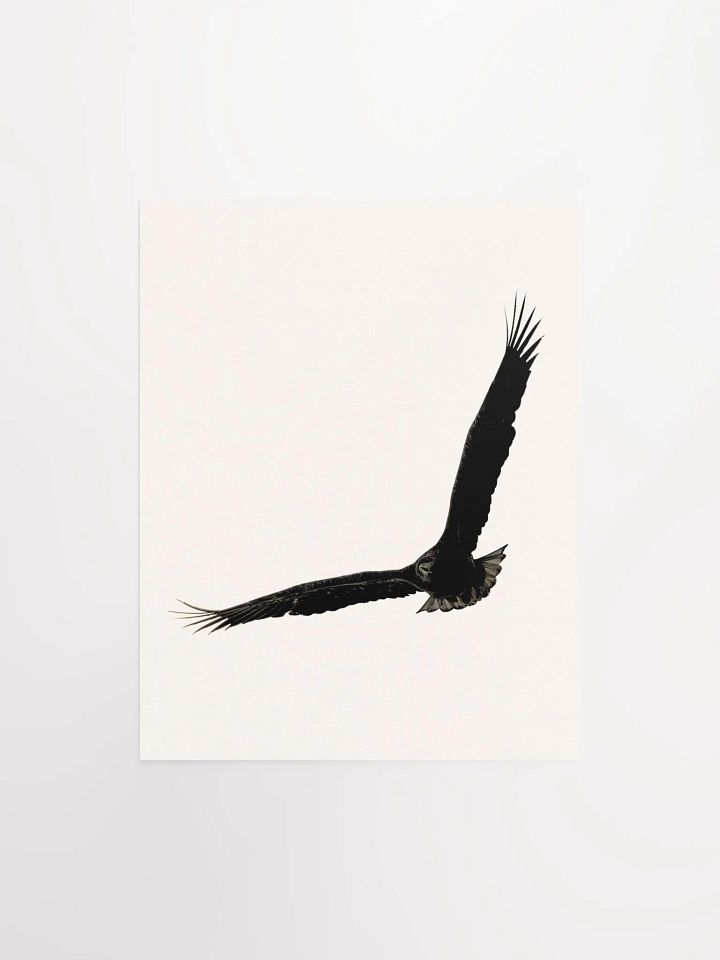 Flight of the Silhouette: Matte Poster Print product image (6)