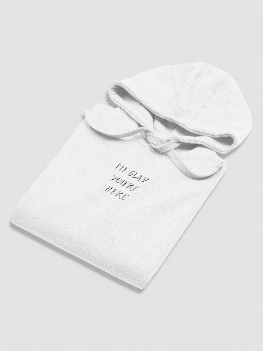 IGYH minimalist hoodie product image (4)