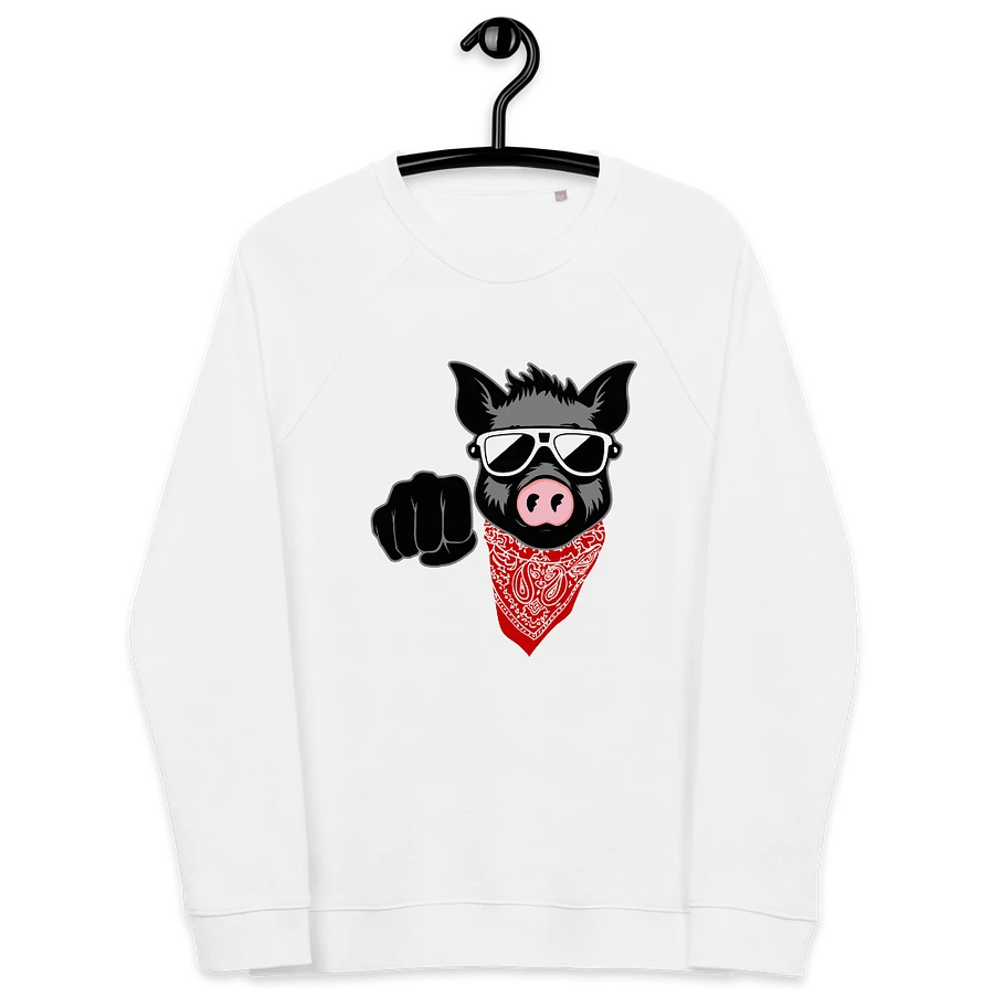 Kinky Fist Pig · organic raglan sweatshirt product image (6)