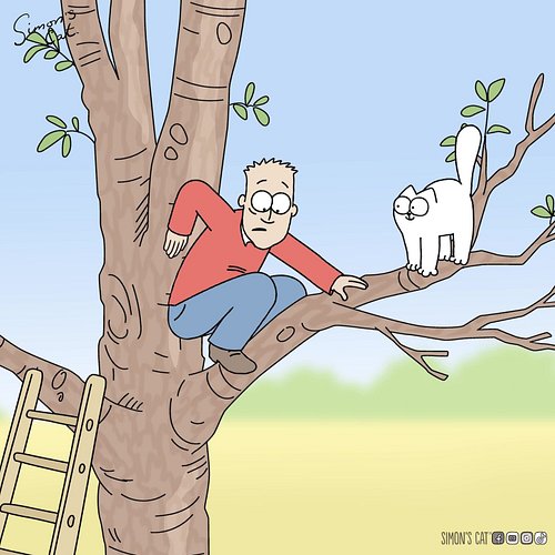 The things we do for our cats!