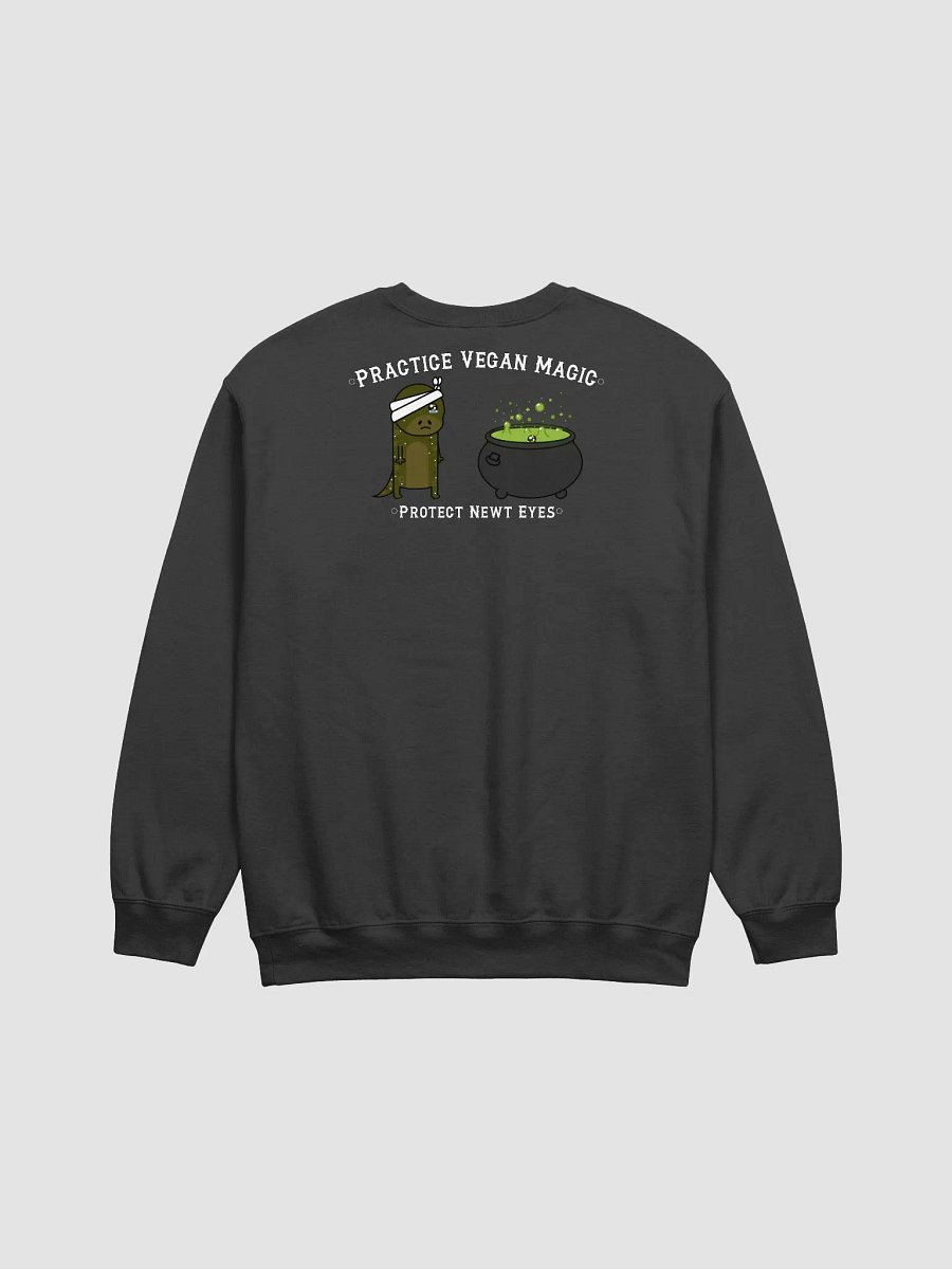 Practice Vegan Magic (Nelson) Crewneck product image (3)