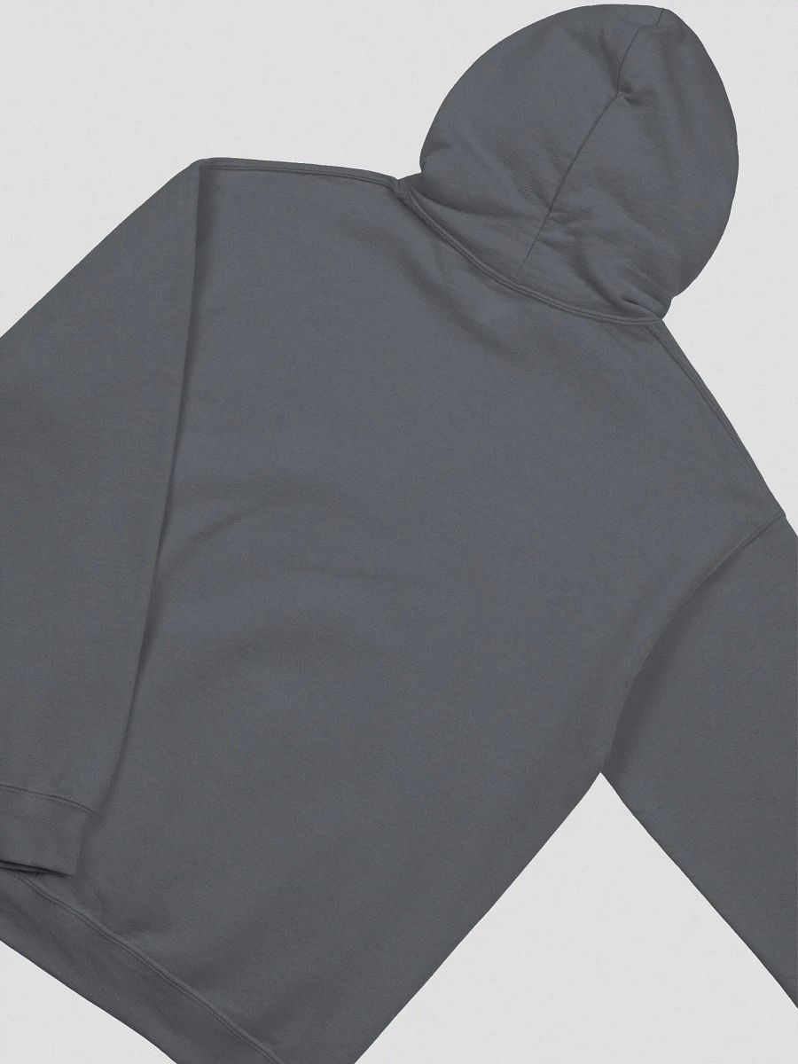 WallyHoodie product image (4)