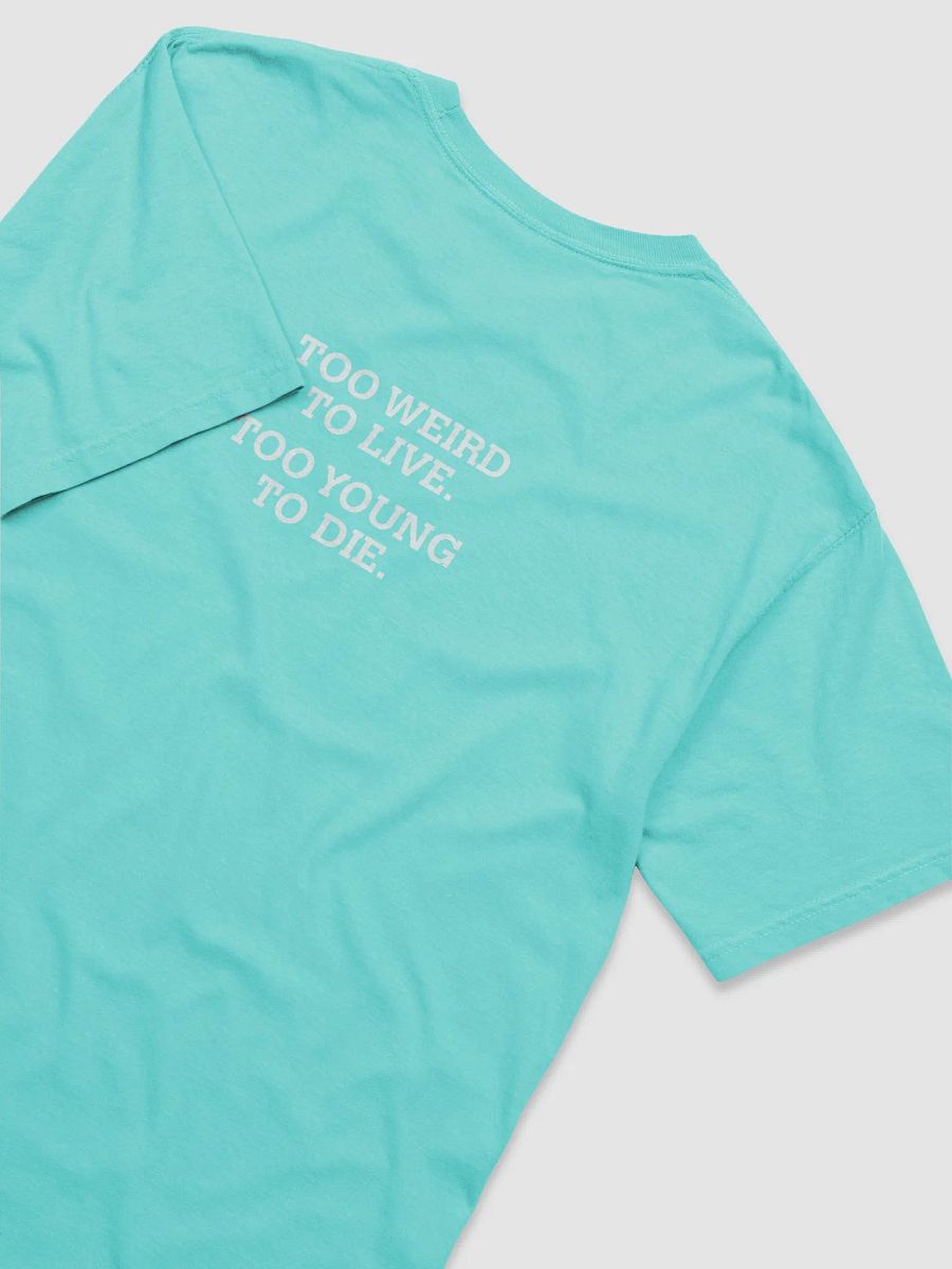 Perfectly Chill Tee product image (4)