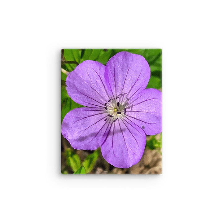 Purple Petal Thin Canvas product image (12)