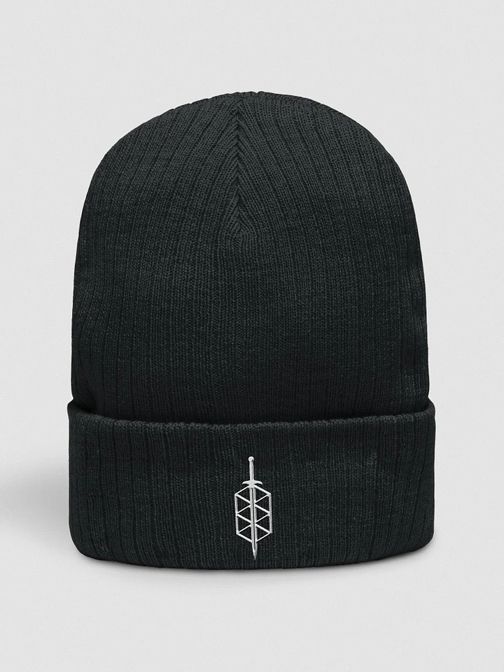 Mid-Evil Ribbed Beanie product image (2)