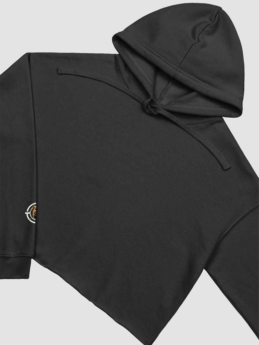 Cropped Hoodie - 'Tism Rizz product image (3)