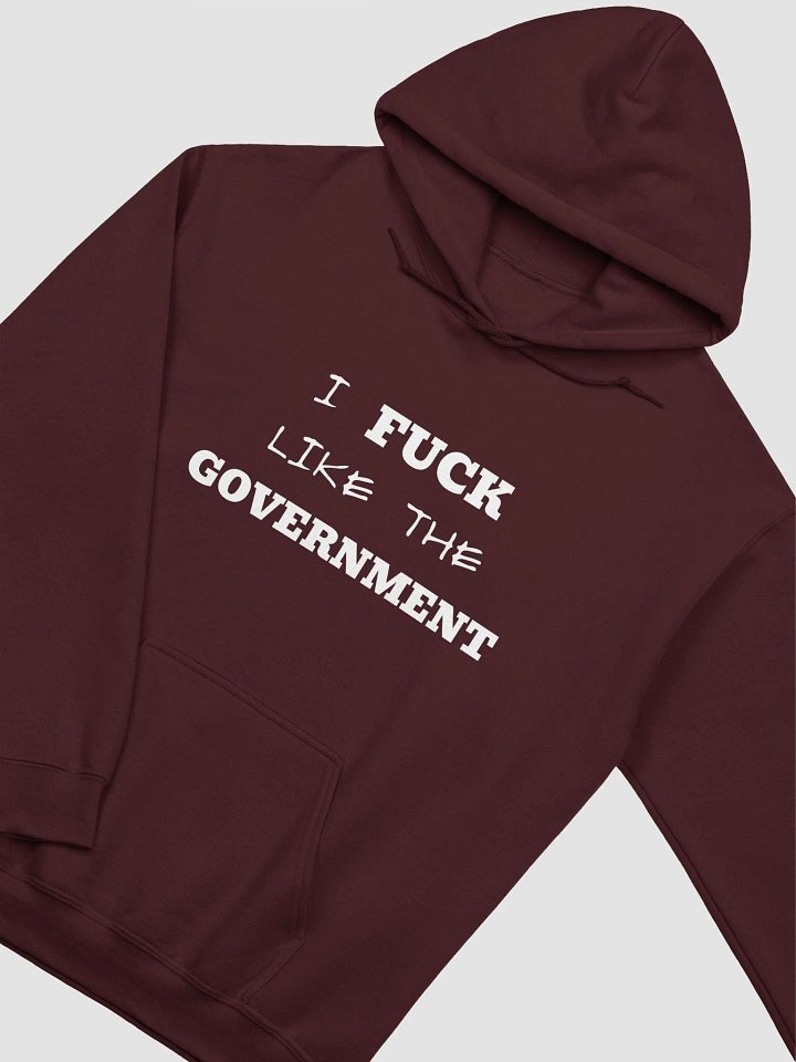 LIKE THE GOVERNMENT Hoodie product image (1)