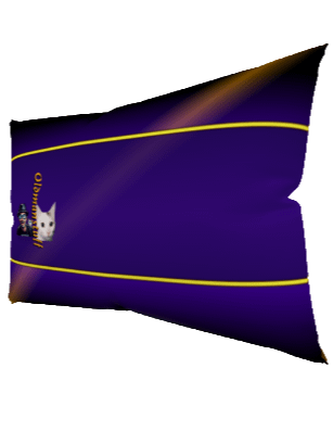 Channel 25 Kissen product image (4)