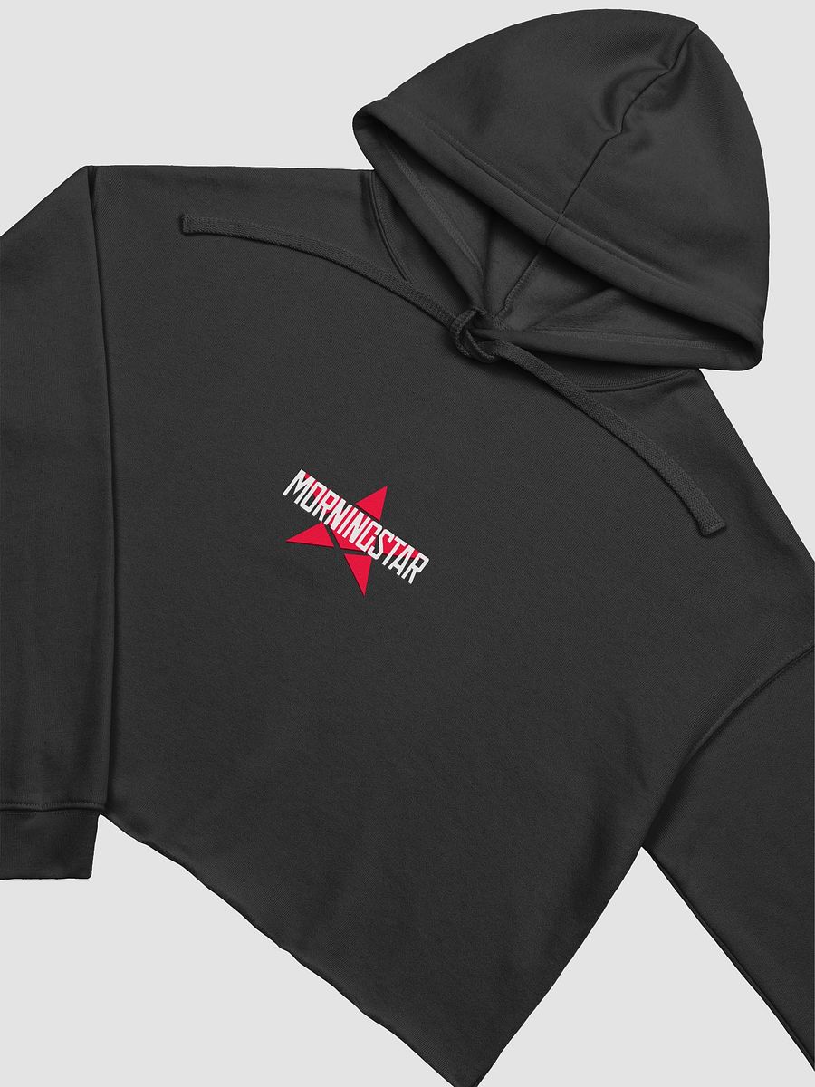 MorningStar Logo Croptop product image (16)