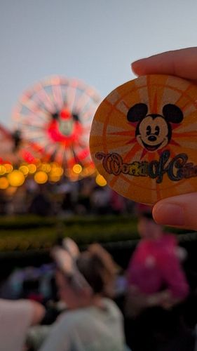 Here's what you need to know about the World of Color Happiness Dessert Party in California Adventure! This costs $94 per per...