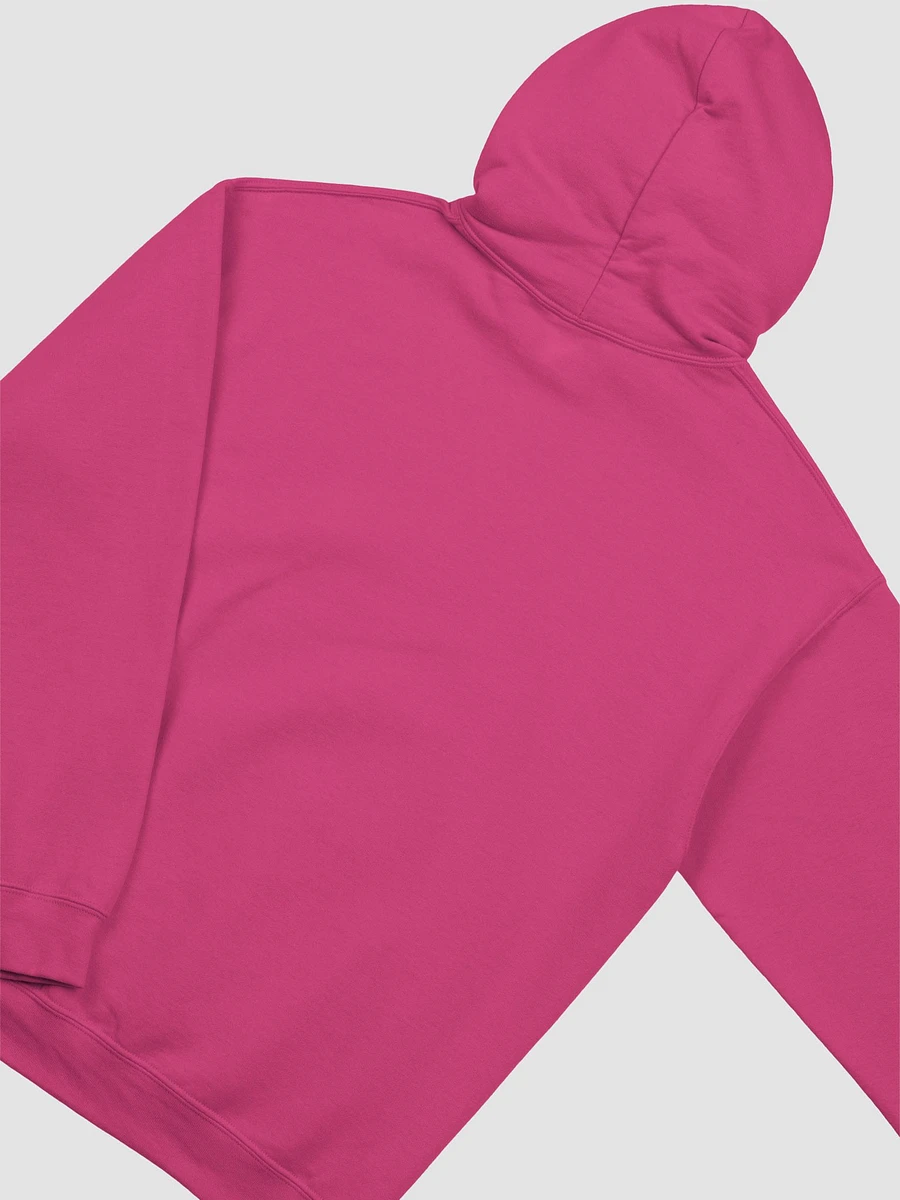 Not Low Quality Unisex Hoodie - bold colours product image (27)