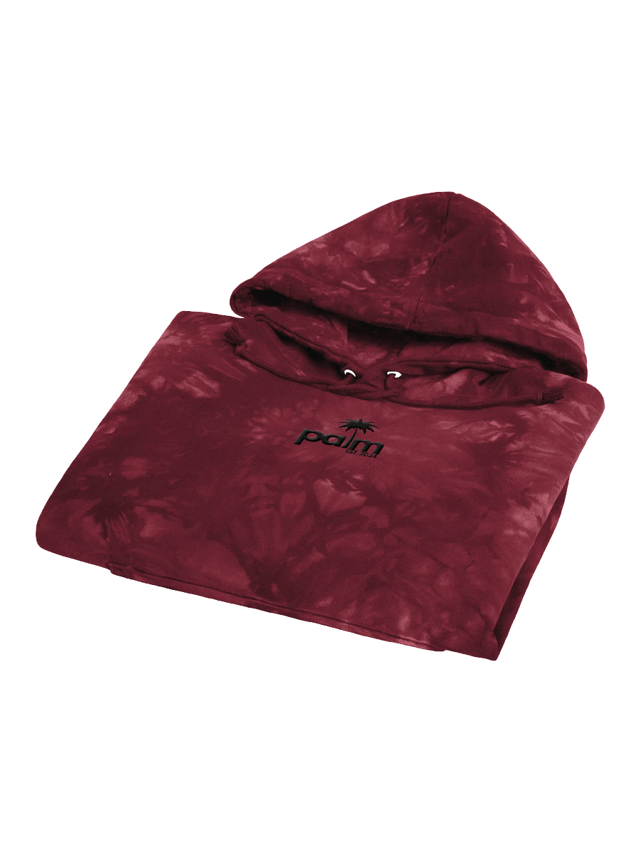 PALM CHAMPION HOODIE product image (11)