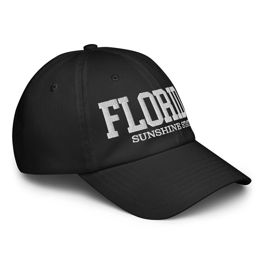 Illinois Land of Lincoln Dad Hat product image (7)