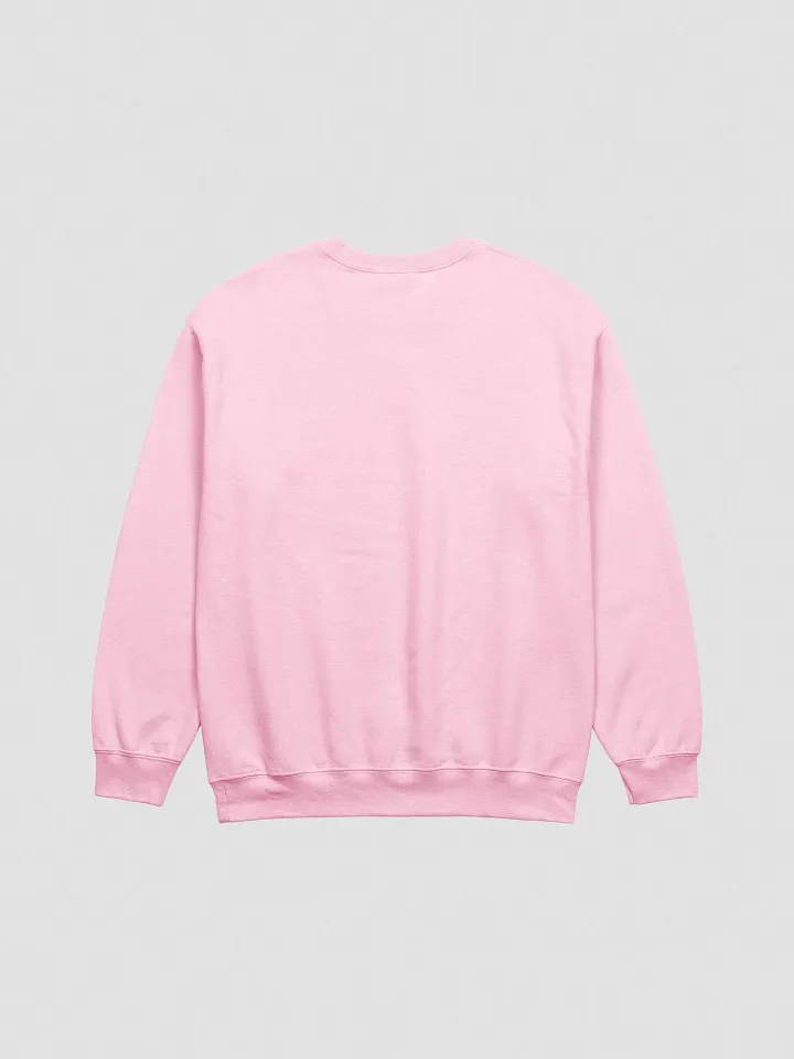 Forever in Love Embroidered Sweatshirt product image (13)