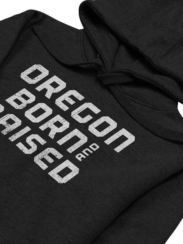 Born and Raised Hoodie product image (2)