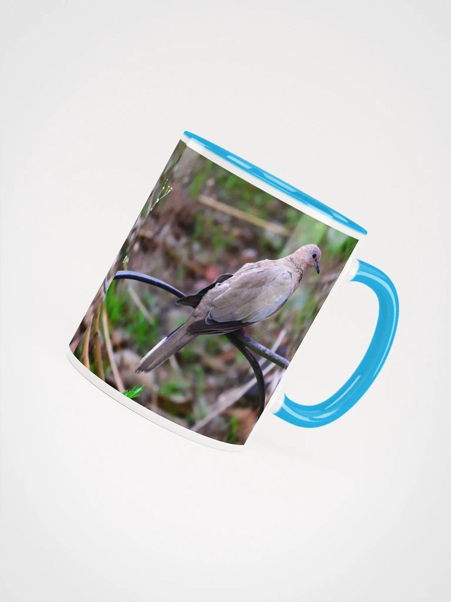 IUCAA Birds MUG product image (4)