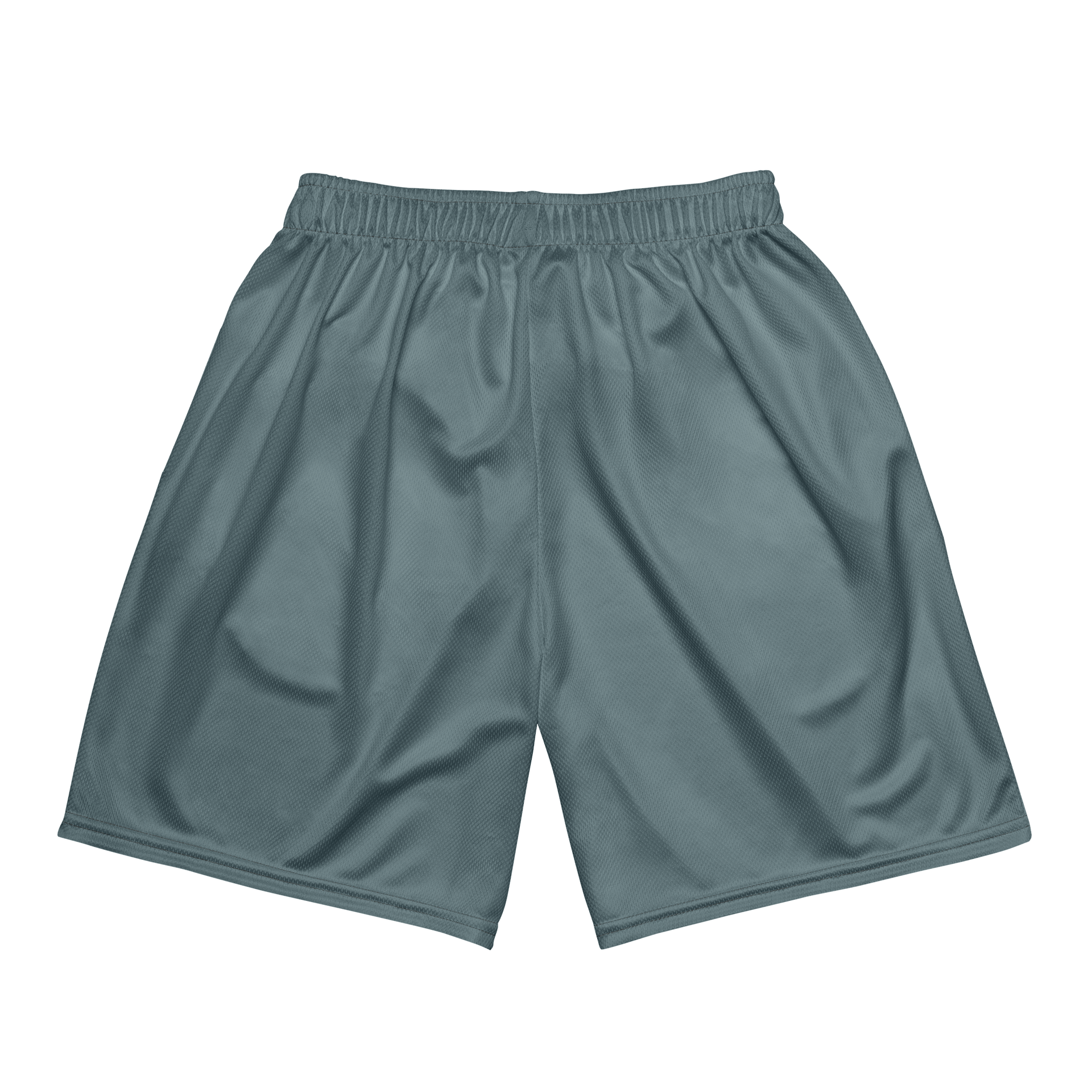 CS Shorts product image (5)