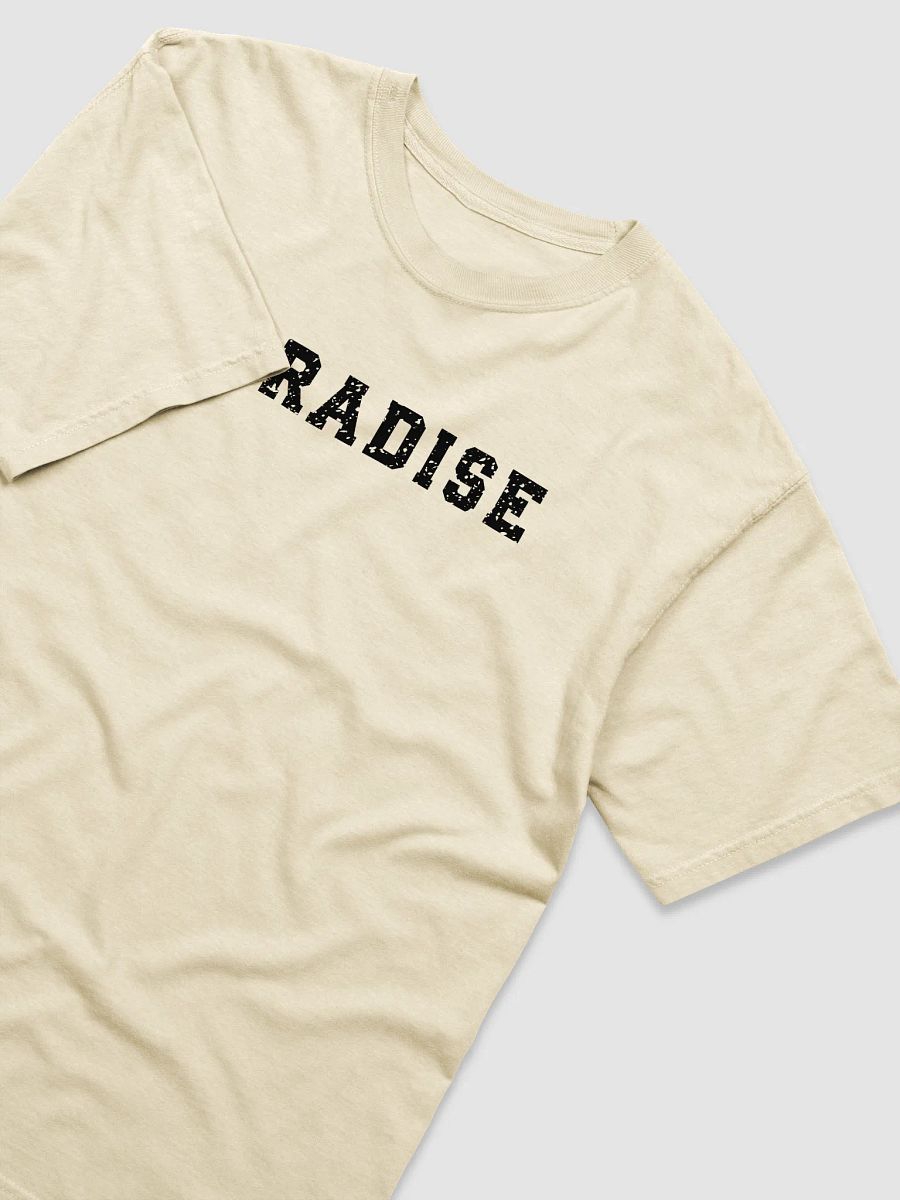 Comfort Colors Paradise Shirt product image (4)