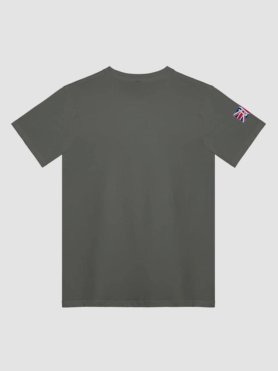 JOYFEST UK - Unisex T-shirt product image (7)