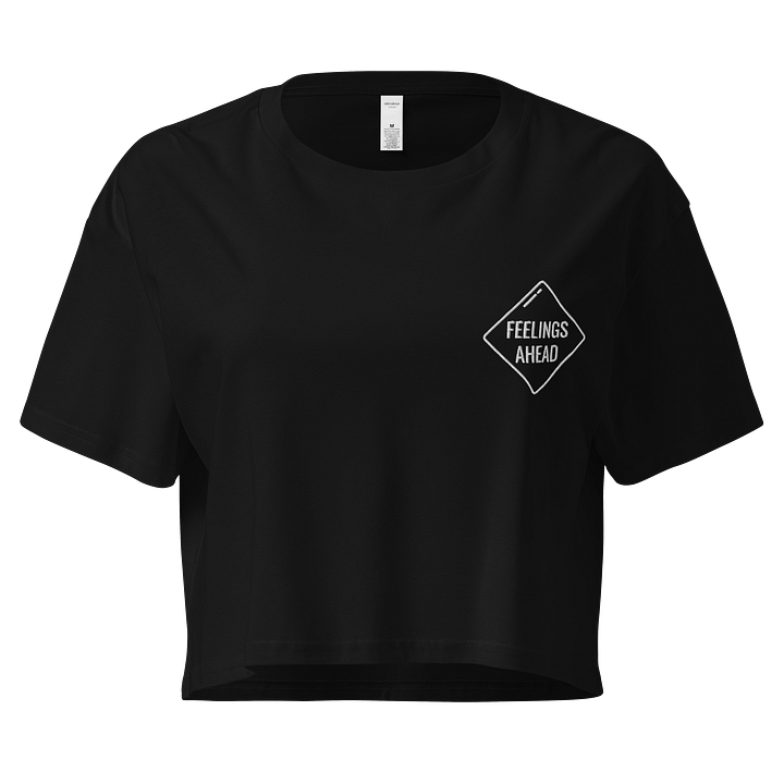 Feelings Ahead (EMBROIDERED) Crop Top product image (1)